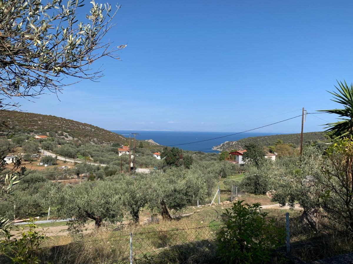 Villa Olive Hill Private House Poros Town Exterior foto