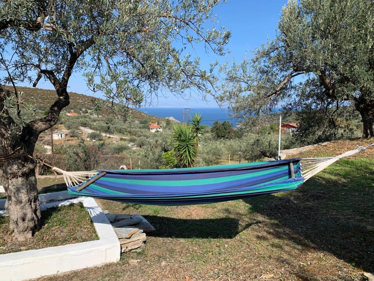Villa Olive Hill Private House Poros Town Exterior foto