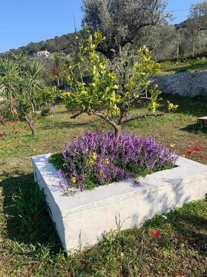 Villa Olive Hill Private House Poros Town Exterior foto